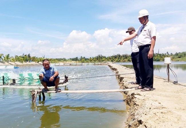 Quảng Nam: Nông dân đổi đời nhờ vay vốn phát triển sản xuất (18/7/2022)